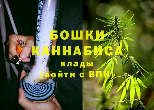 прущая мука Дмитриев
